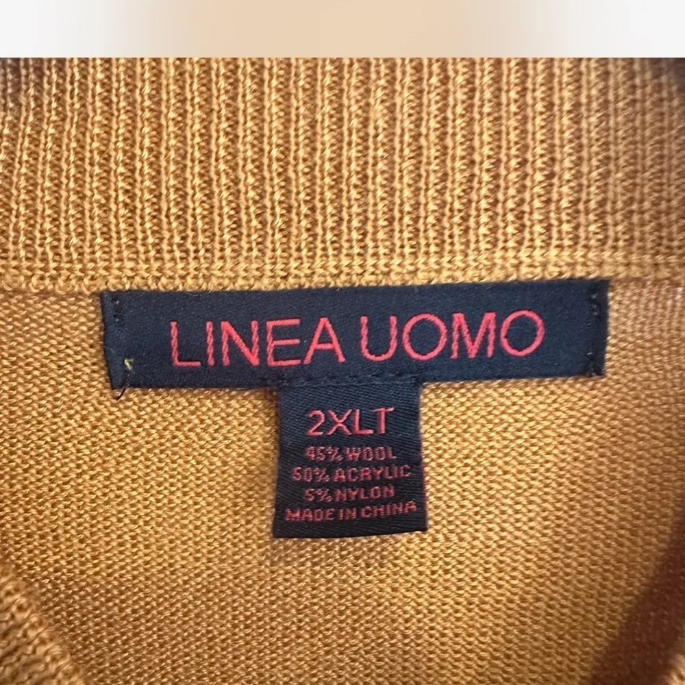 Men's Wool Blend Turtleneck Sweater in Trendy Fall Color by Linea Umol